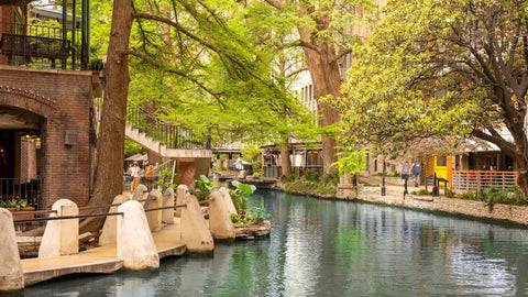 Top Gyms of 2025 in San Antonio, TX: Location, Features & Pricing