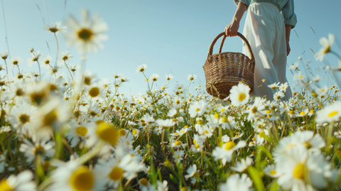 a woman walking through a field of chamomile flowers with a basket