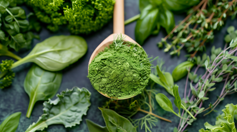 wooden spoon overflowing with vibrant greens powder, surrounded by fresh leafy greens and digestive herbs