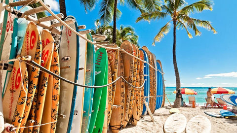 Top Gyms of 2025 in Honolulu, HI: Locations, Features & Pricing