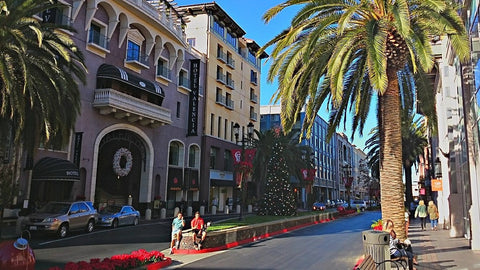 Top Gyms of 2025 in San Jose, CA: Location, Features & Pricing