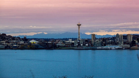 Seattle Skyline