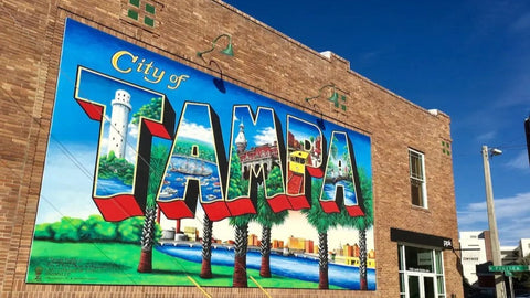 Top Gyms of 2025 in Tampa, FL: Location, Features & Pricing