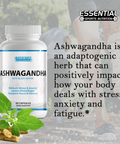 Organic Ashwagandha - Essential Sports Nutrition