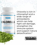 Chlorella - Essential Sports Nutrition