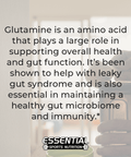 Glutamine Powder - Essential Sports Nutrition