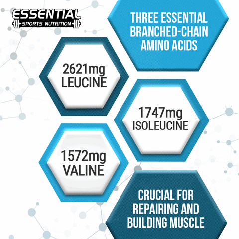 ISO | WHEY ISOLATE - Chocolate Milk - Essential Sports Nutrition