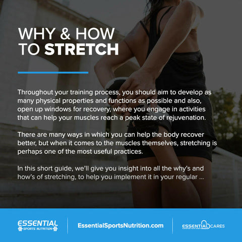 Why and How to Stretch - Essential Sports Nutrition