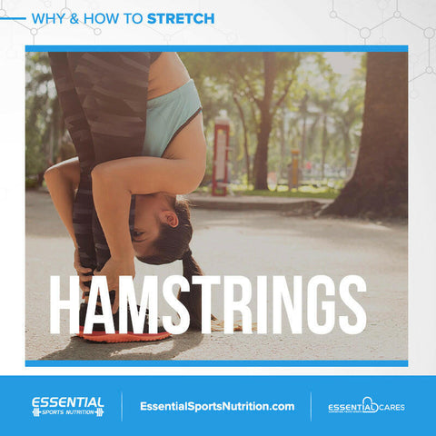 Why and How to Stretch - Essential Sports Nutrition